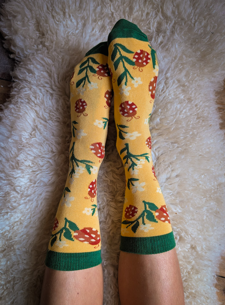 Ladybird Socks
