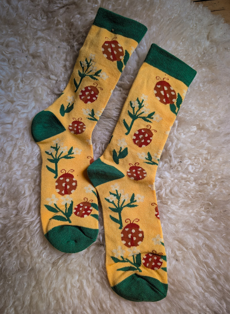 Ladybird Socks - Image 2