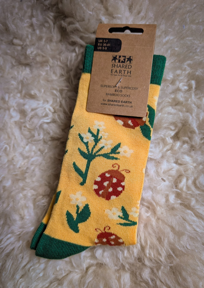 Ladybird Socks - Image 4