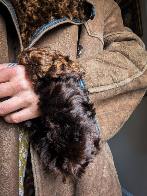 Vintage Afghan Sheepskin Coat - Image 4